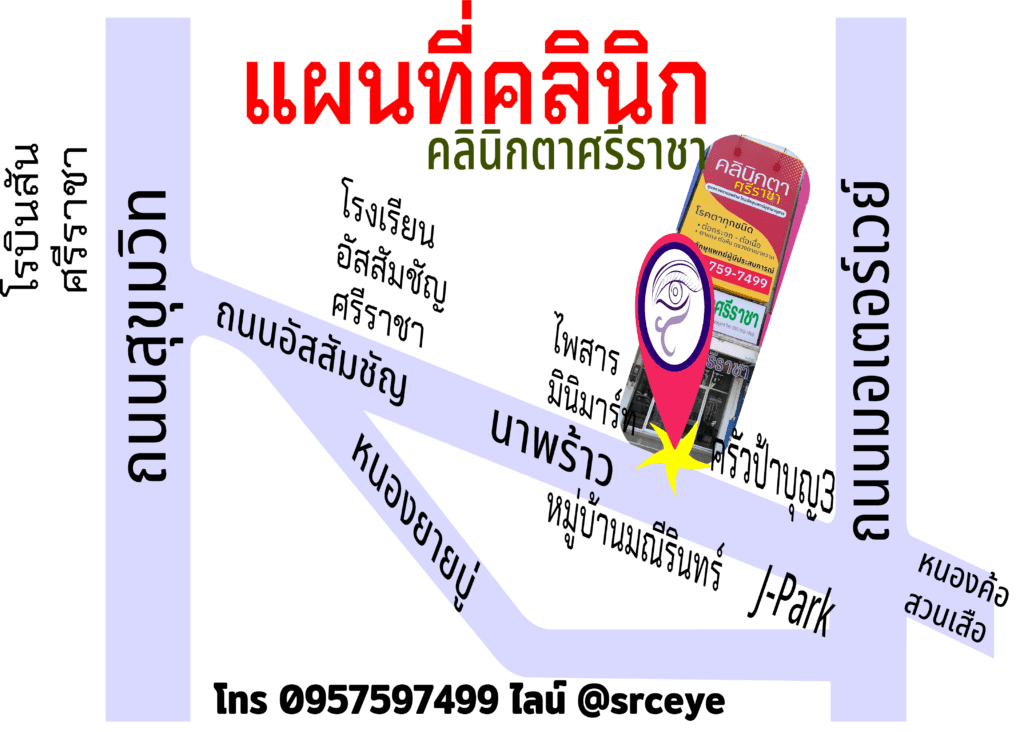 แผนที่คลินิก